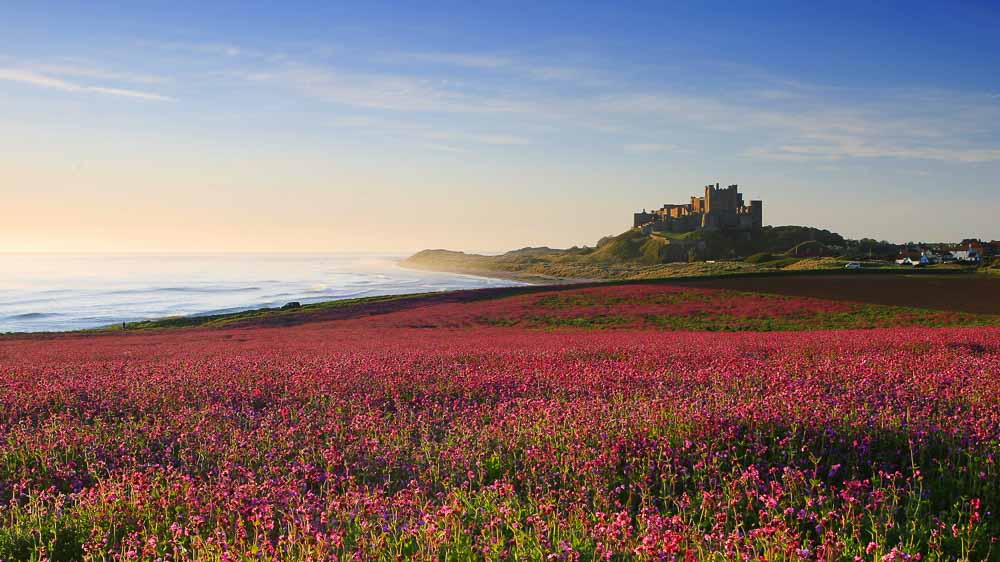 Bamburgh Castle cover image